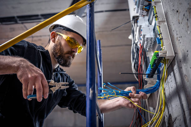Best Electrical Upgrades for Homes  in Meridian Village, CO