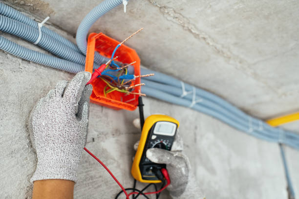 Best Ceiling Fan Installation Electrician  in Meridian Village, CO